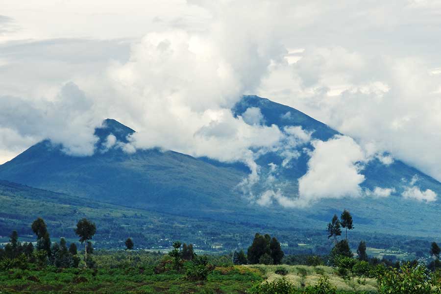ruanda gorilla trekking